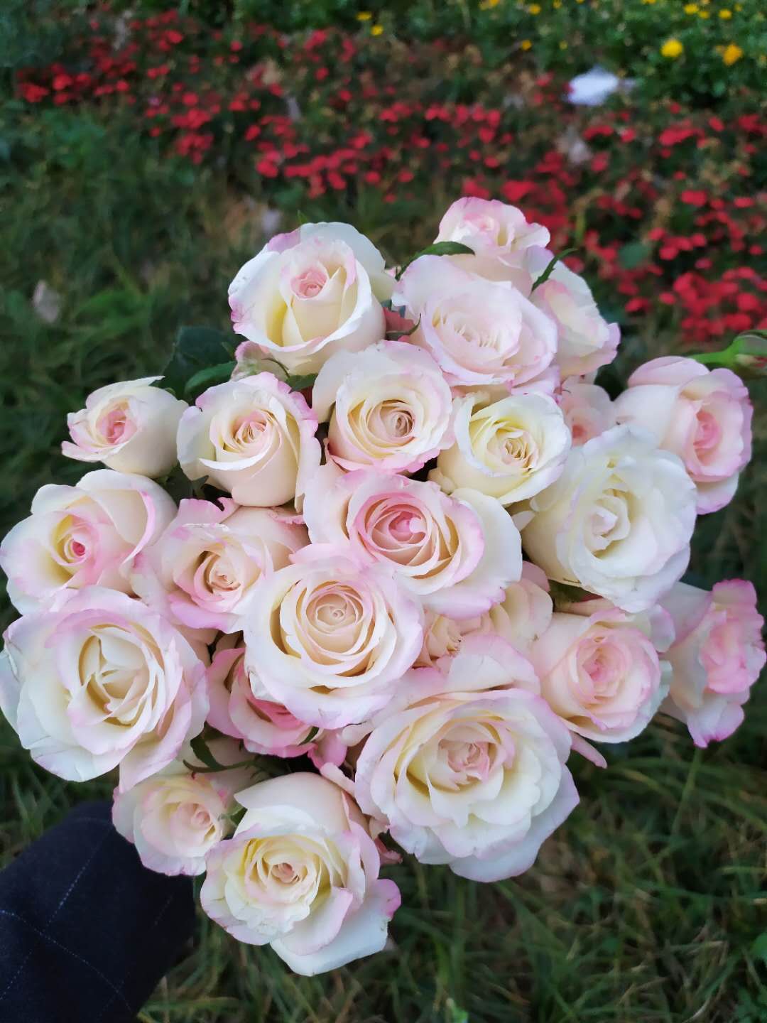 鮮花如何醒花兒_鮮花醒花怎么處理_鮮花醒花后怎么儲存