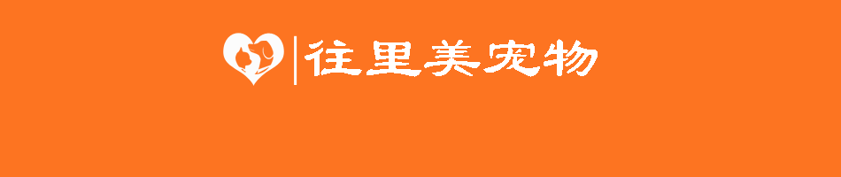 貓咪的發(fā)育階段與人類年齡的對(duì)比是怎樣的？